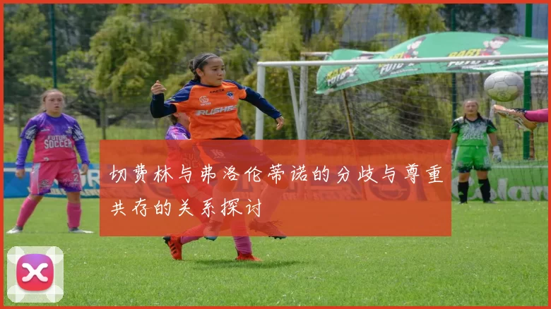 切费林与弗洛伦蒂诺的分歧与尊重共存的关系探讨