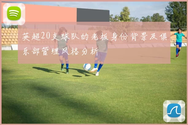 英超20支球队的老板身份背景及俱乐部管理风格分析