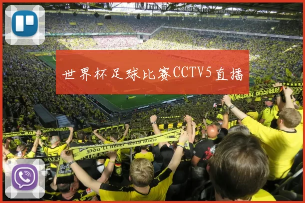 世界杯足球比赛CCTV5直播