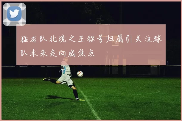 猛龙队北境之王称号归属引关注球队未来走向成焦点