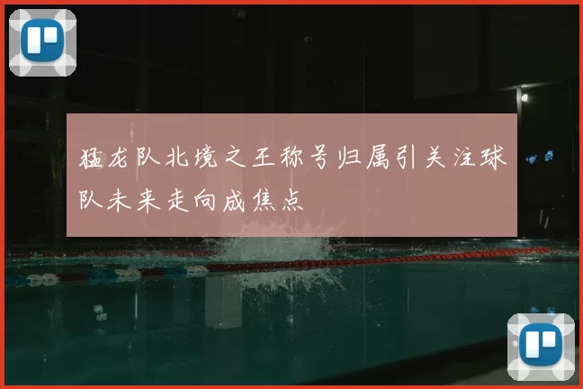 猛龙队北境之王称号归属引关注球队未来走向成焦点