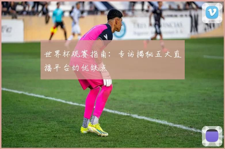 世界杯观赛指南：专访揭秘五大直播平台的优缺点