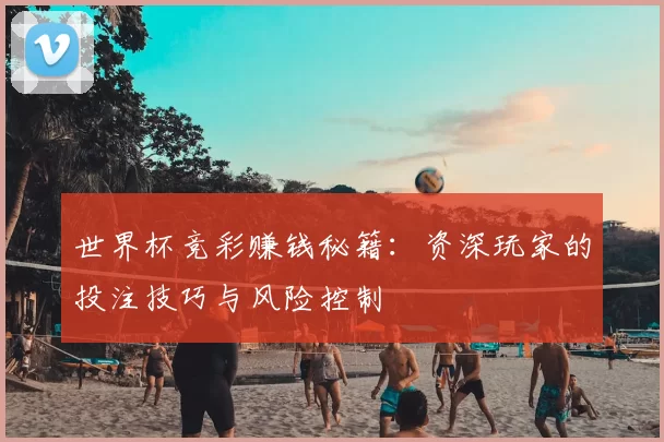 世界杯竞彩赚钱秘籍：资深玩家的投注技巧与风险控制