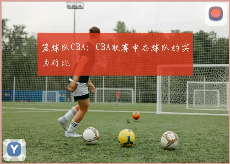 篮球队CBA:CBA联赛中各球队的实力对比
