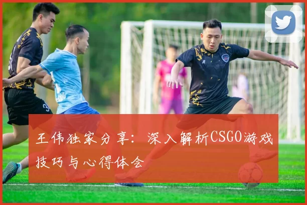 王伟独家分享：深入解析CSGO游戏技巧与心得体会