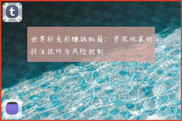 世界杯竞彩赚钱秘籍：资深玩家的投注技巧与风险控制